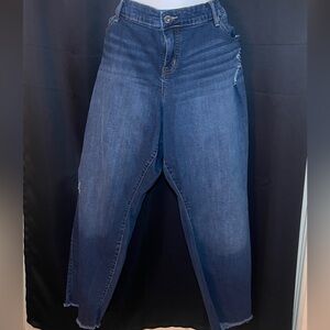 PLUS Torrid Jeans